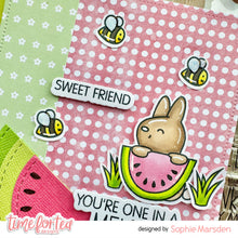 Load image into Gallery viewer, Fruitful Friends A6 Stamps