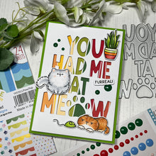 Load image into Gallery viewer, Kitty Capers A4 Printed Cardstock Pack of 2 with Free Digi Stamp