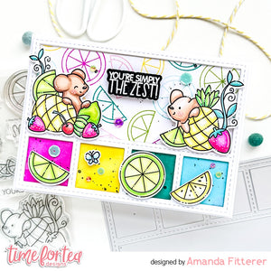 Squeeze the Day Stamp & Coord Die Collection