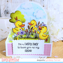 Load image into Gallery viewer, Lucky Ducks Clear Stamp Set