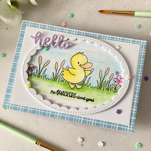Lucky Ducks Clear Stamp Set